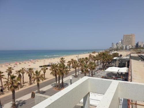 Bat Yam beach and coastline — palm trees, promenade, and sea